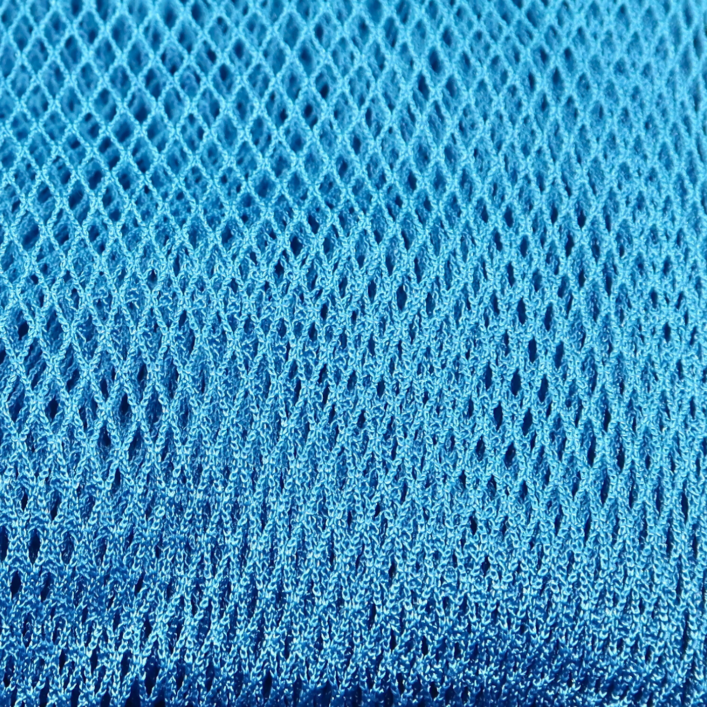African Net Sponge