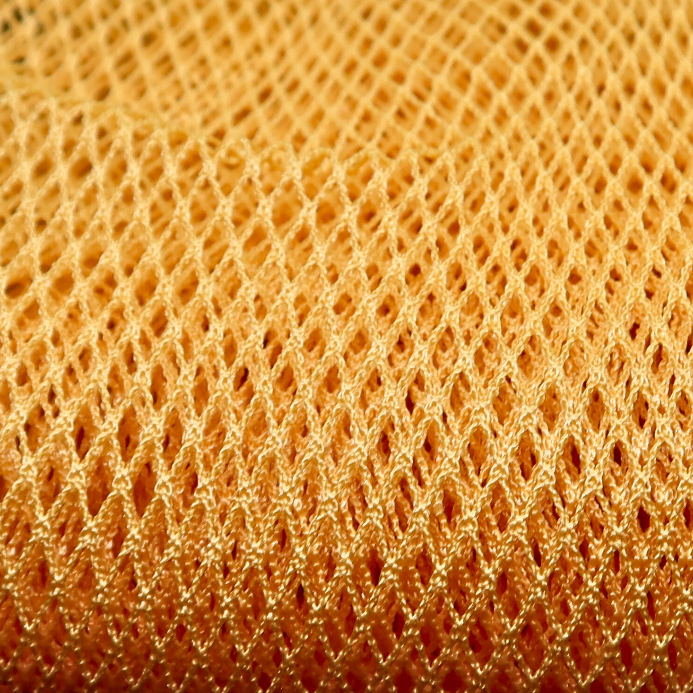 African Net Sponge