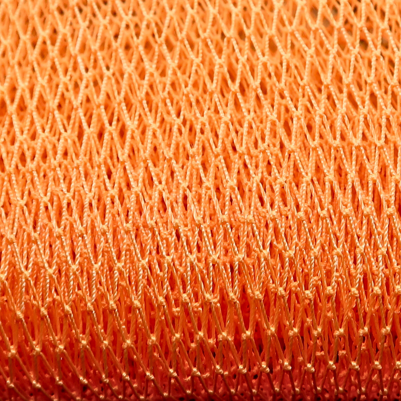 African Net Sponge